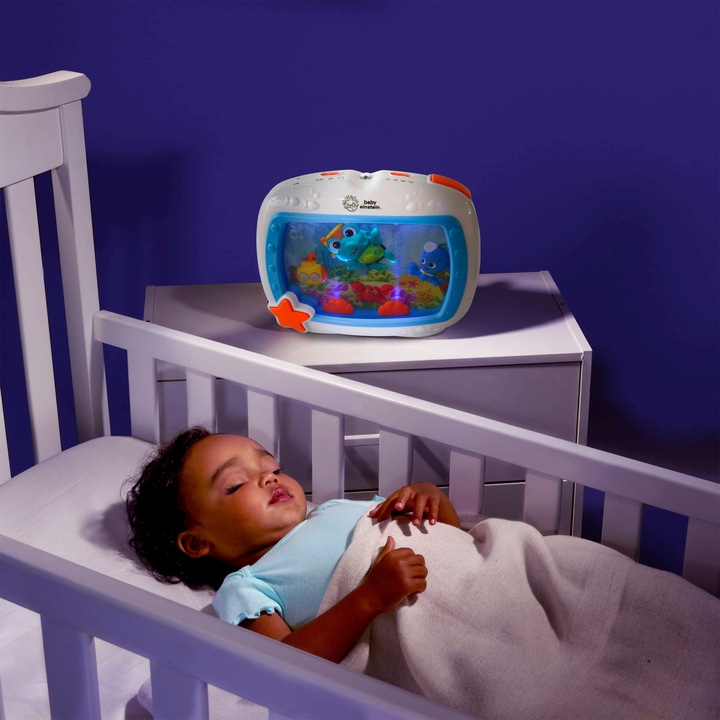 Actual product image Baby Einstein Sea dreams soother