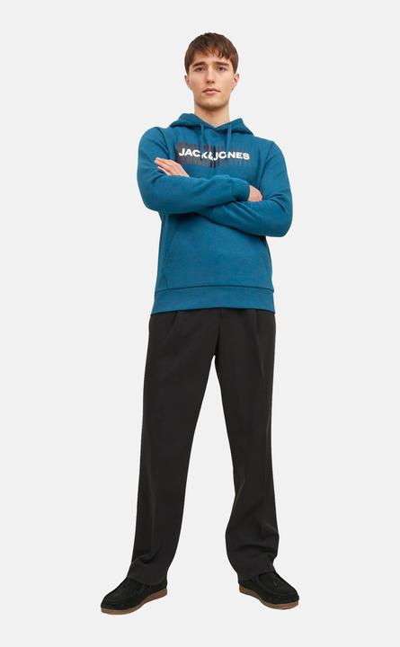 Image du produit Jack & Jones Logo Hoodie (L)