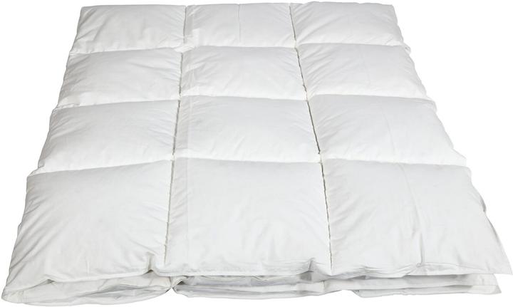 Albis Duvet Arven 500 160 x 210 cm