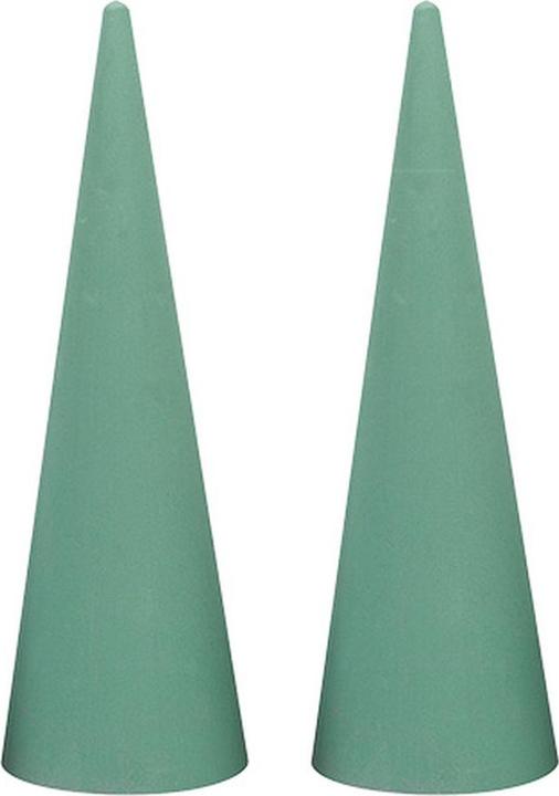 Actual product image Oasis IDEAL cone