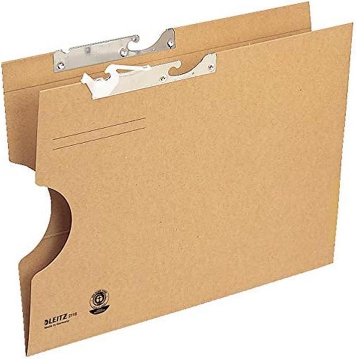 Actual product image Leitz Pendulum folder, extra large, with frog, natron (A4, 1x)
