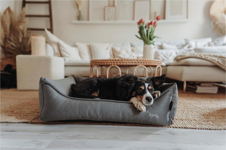 Immagine prodotto Hunter Letto ortopedico per cani Merida (Cane)