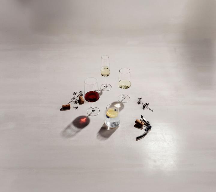 Actual product image Schott Zwiesel MioVino all-round glass (0.43 l, 4 x)