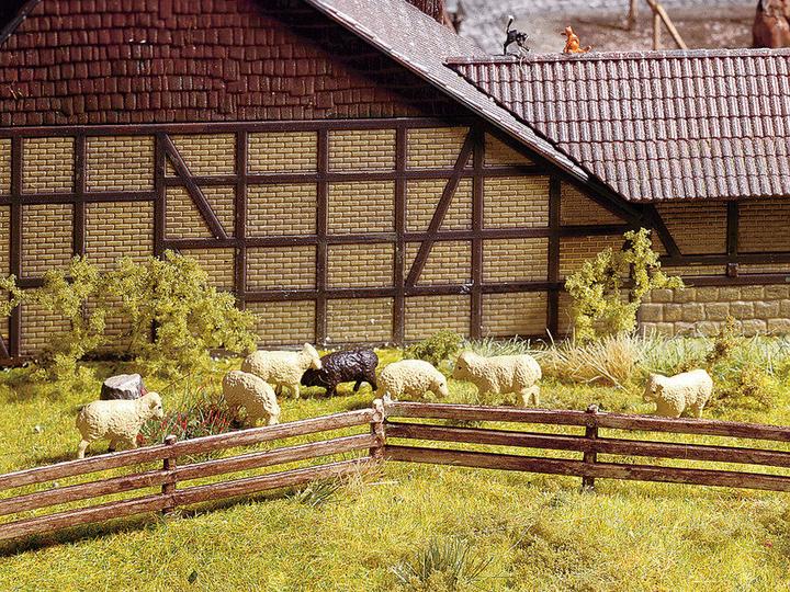 Actual product image Noch 13040