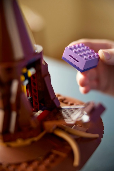 Actual product image LEGO The Talking Hat (76429, LEGO Harry Potter)