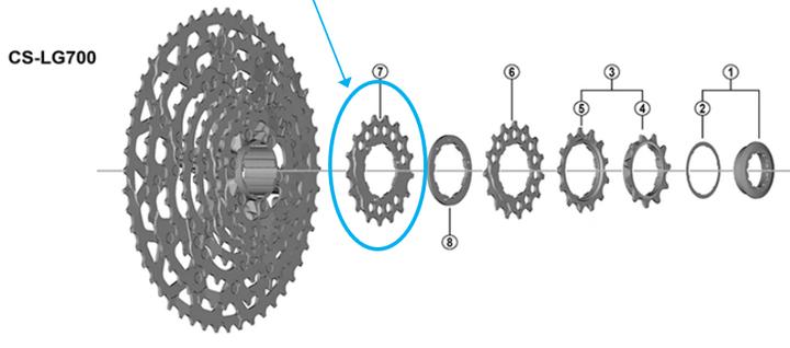 Produktbild Shimano Zahnkranz CS-LG700 17 Zähne (17)
