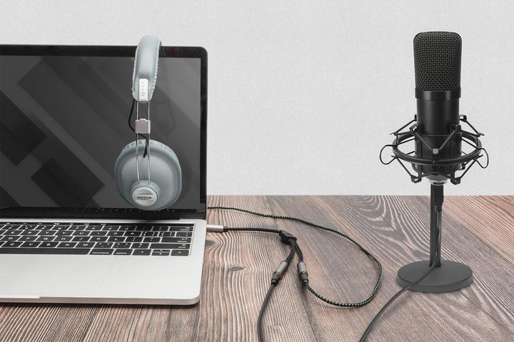 Actual product image Digitus Audio splitter, 3.5 mm jack to 2x 3.5 mm jack (0.20 m, AUX cable)