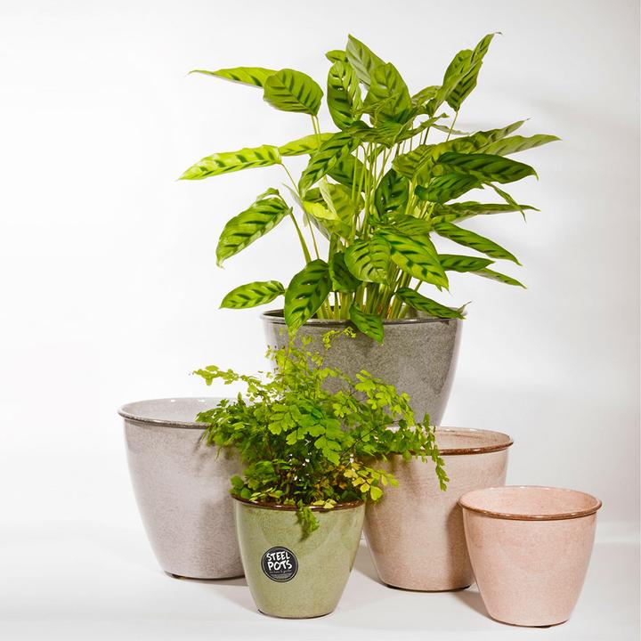 Produktbild Classico Topf Steel Pot (26 x 22 cm)