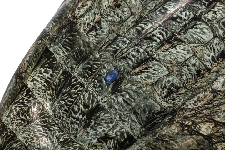 Immagine prodotto Bestway Realistic Reptile Ride On 193x94cm