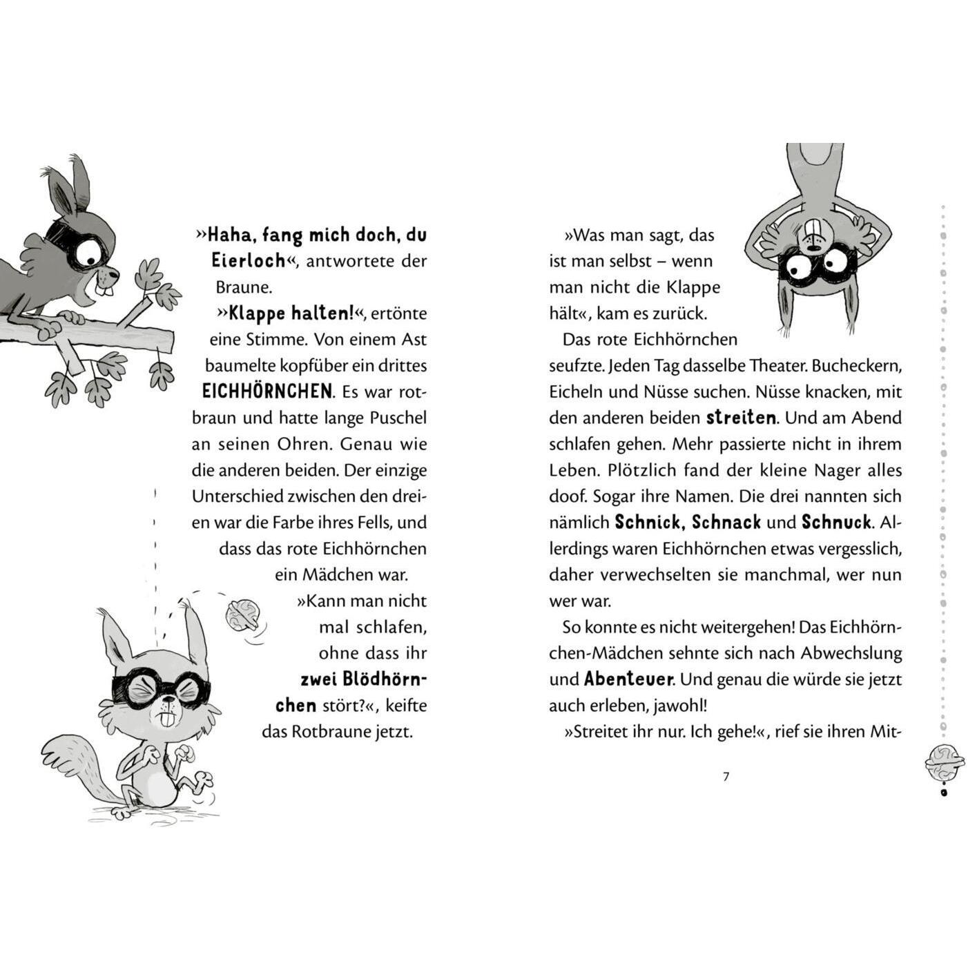 Thumbnail - Nussknacker-Bande 1: Drei Chaoten auf vier Pfoten, Schulbücher von Heike Eva Schmidt, Nikolai Renger