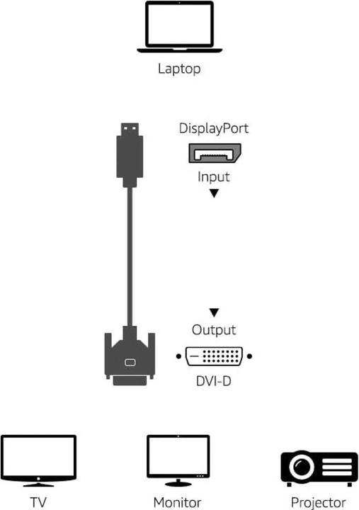 Actual product image Techly DisplayPort — DVI (3 m)