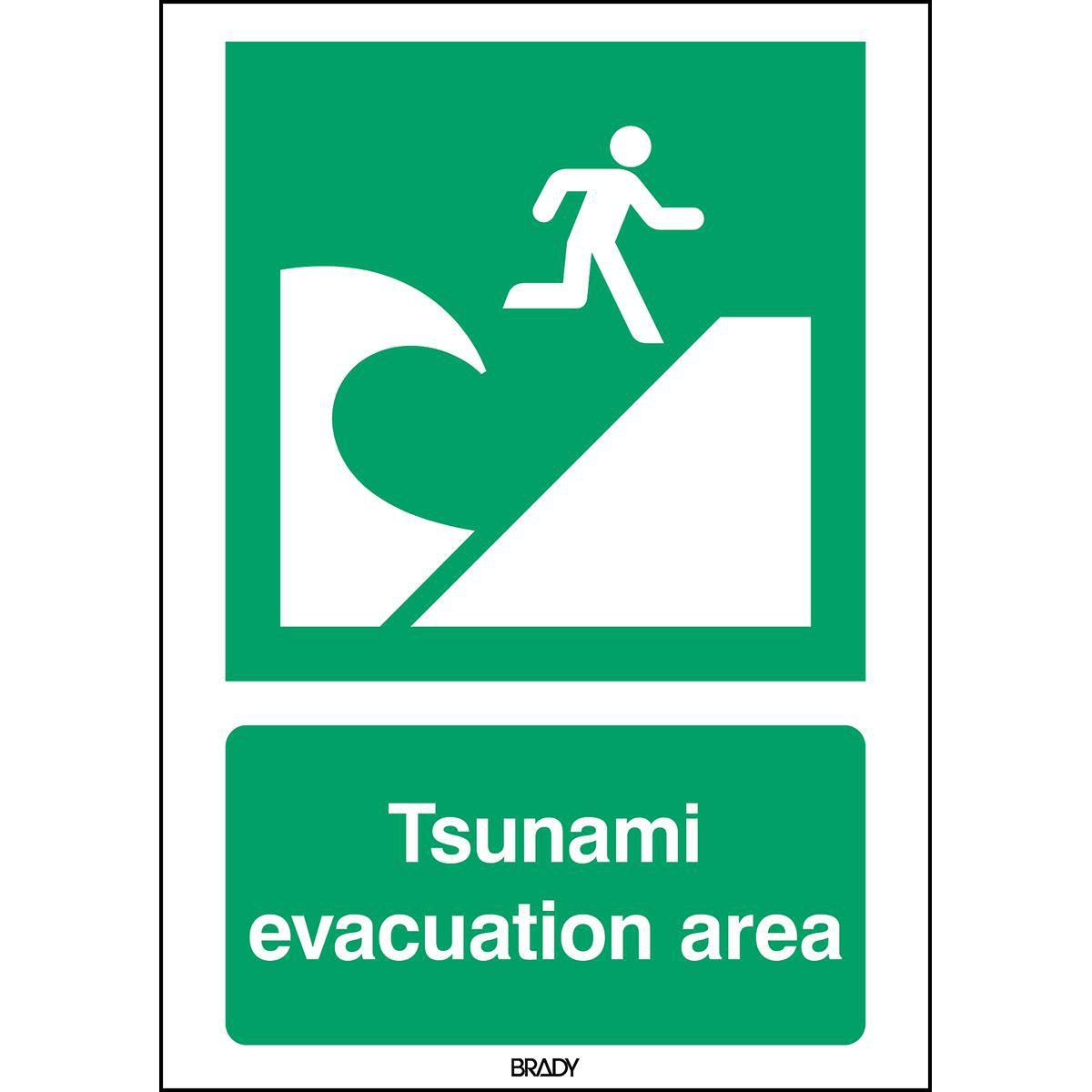 Brady, Sicherheitskennzeichnung, ISO Safety Sign - Tsunami