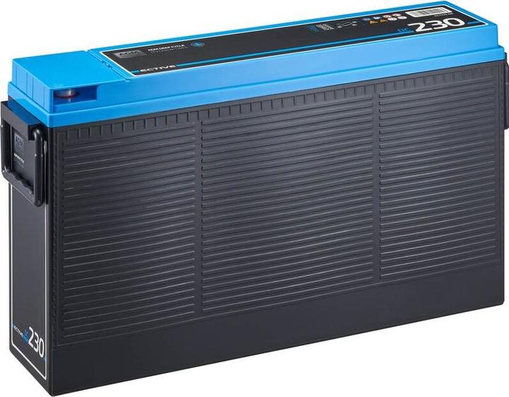 Ective AGM Batterie 230Ah 12V Deep Cycle Slim Front Terminal Versorgungs Akku Versorgungsbatterie (12 V, 230 Ah)