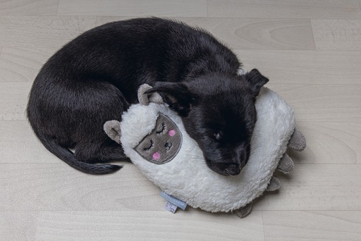 Immagine prodotto Beeztees Giocattoli coccolosi per cuccioli e simulatore di battito cardiaco (Cucciolata di cane giocattolo)
