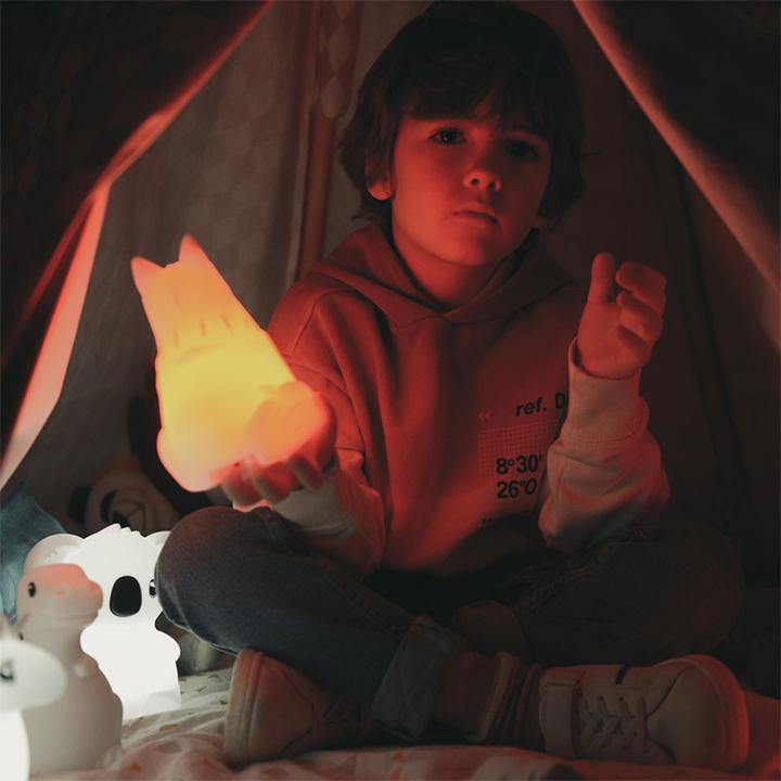 Actual product image Kidywolf Koala