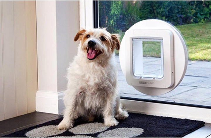 Productafbeelding SureFlap Kattenluik XXL (Microchip kattenluikje)