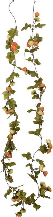 Immagine prodotto vidaXL Kranz