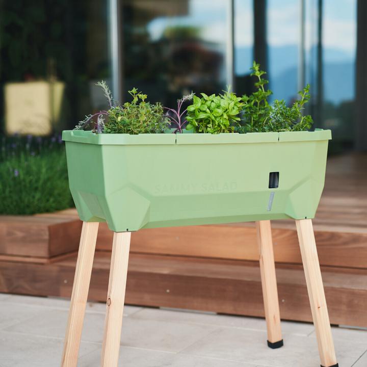 Immagine prodotto Gusta Garden Letto rialzato SAMMY SALAD Starter Set, verde scuro