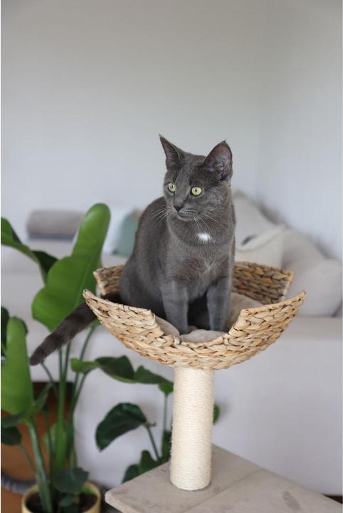 Actual product image Kerbl Banana Leaf Jade (100 cm, Beige)