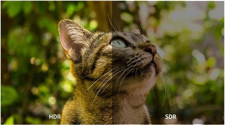Produktbild RGBlink Aura UHD 24