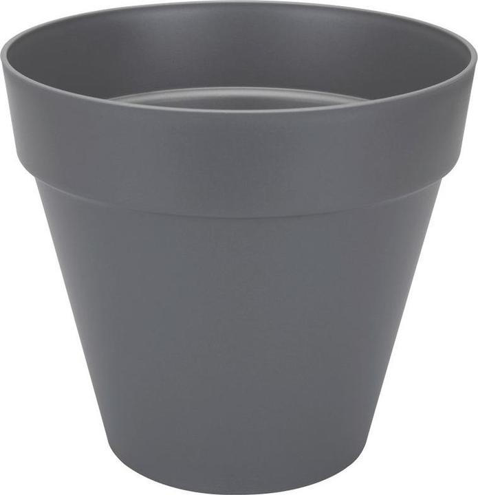 Charcoal