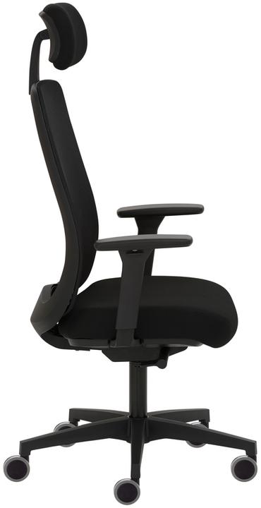 Image du produit Avita (48 - 59 cm)