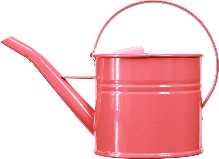 Viana Dekorative giesskanne als Blumentopf für Zimmerpflanzen oder Trockenblumen (1.25 l)