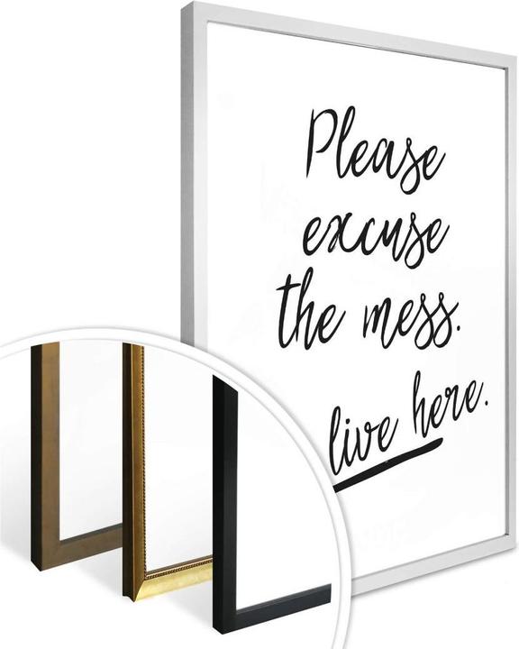 Image du produit Trenddeko Please excuse the mess (30 x 40 cm)