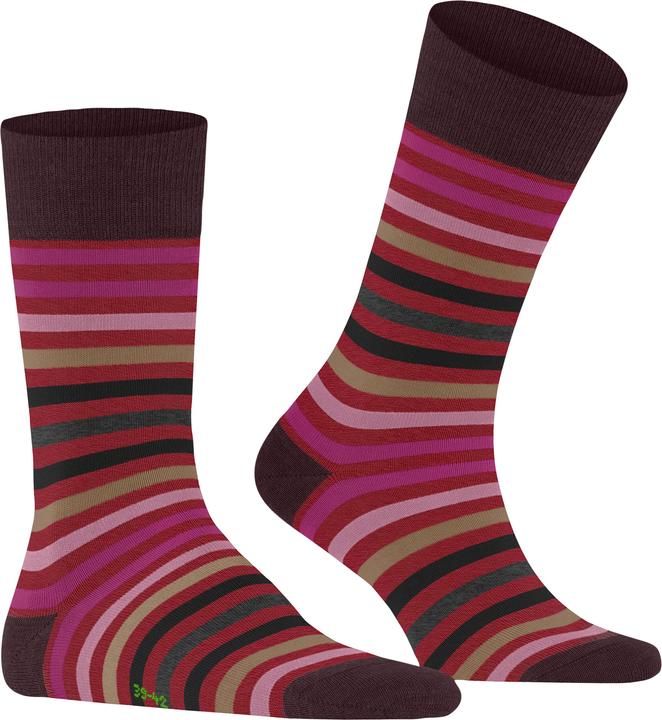 Actual product image Falke Tinted Stripe SO (Single pack, 47 - 50)