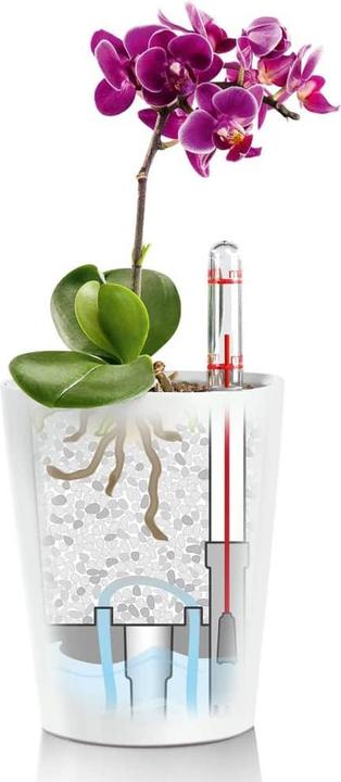 Produktbild Lechuza Deltini (15 cm)