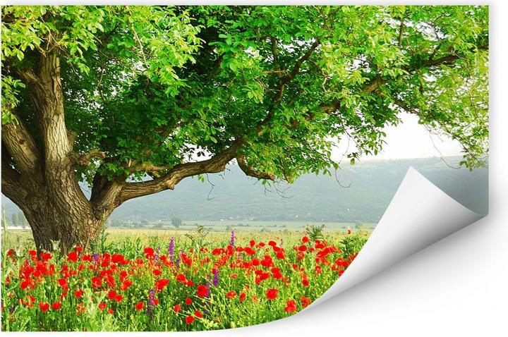 Produktbild Trenddeko Sommererwachen (30 x 20 cm)