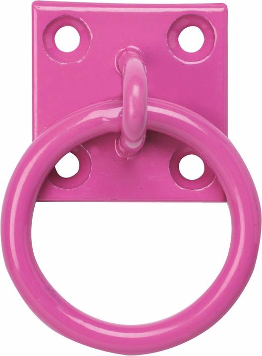 Perry Equestrian Platte mit Anbindering (2 StückPackung)