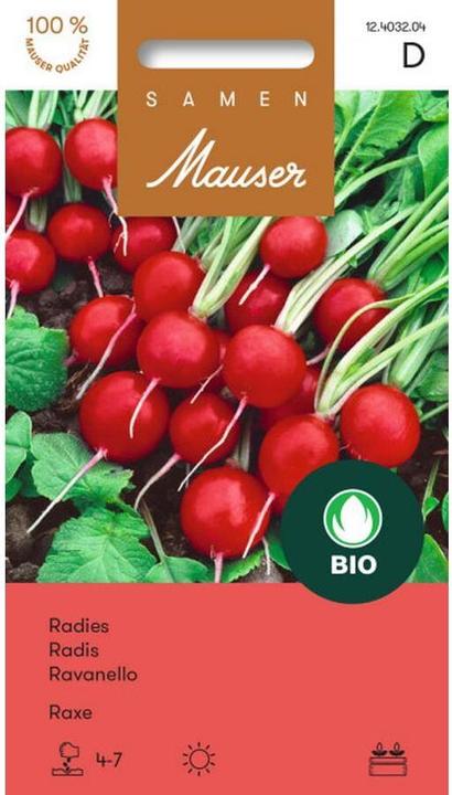 Produktbild Samen Mauser Knospe Bio Radies Raxe (Gemüsesamen)