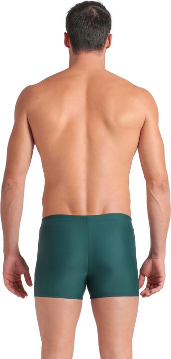 Actual product image Arena M Openings Swim Short (4)