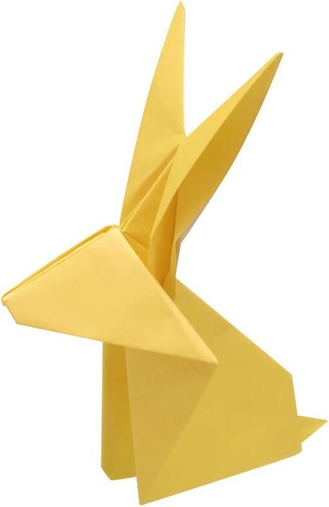 Actual product image Winkee Origami Set - 5 Minutes (16487)