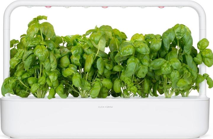 Actual product image Click and Grow Basil (Herb seeds)