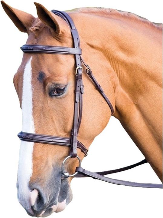 Image du produit Salisbury Bridon Fairford cuir