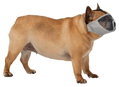 Actual product image Trixie Muzzle XS-S 15cm (XS, S, Dog, Dog sport)