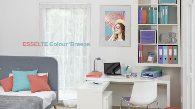 Immagine prodotto Esselte Cartella del progetto (A4, 1 x)