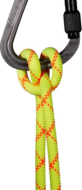 Actual product image Mammut 9.5 Alpine Core Protect Dry Rope (80 m)
