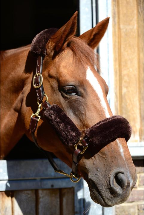 Produktbild Kentucky Horsewear Halfter-Set 4 Teile Schaffell (künstl.)