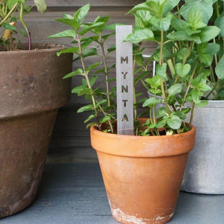 Produktbild Born in Sweden Spicestick Mynta – Pflanzenstecker aus Edelstahl für Kräuter