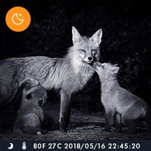 Actual product image Apeman H45