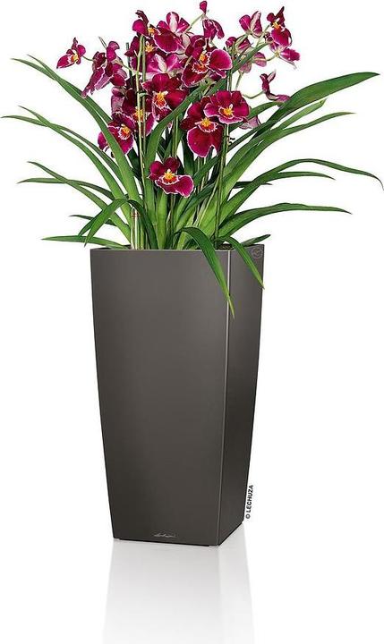 Produktbild Lechuza Cubico (29.50 cm)