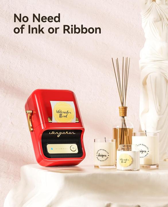 Produktbild Niimbot B21 (203 dpi)