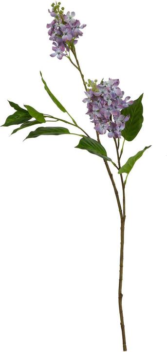 Image du produit Hill Interiors - Fleur artificielle THE NATURAL GARDEN COLLECTION (75 cm)