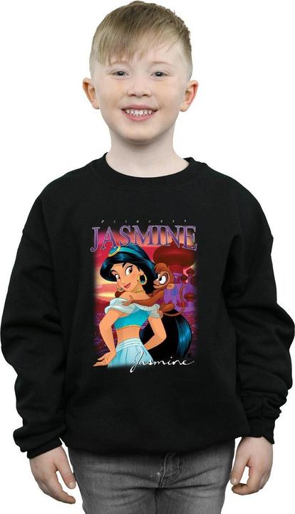 Produktbild Disney Aladdin Princess Jasmine Montage Sweatshirt Jungen (152, 158)