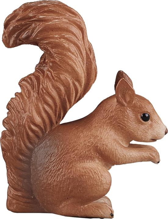 Animal Planet Eichhörnchen