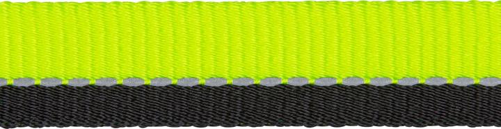Actual product image Tribord Lanyard