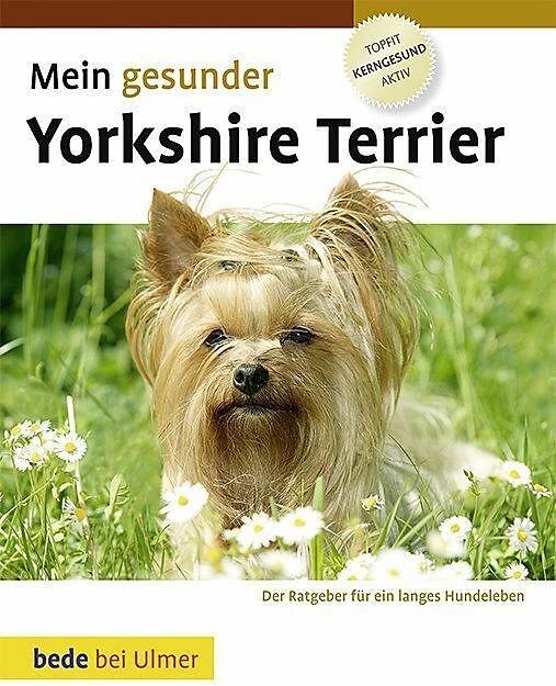 Produktbild Mein gesunder Yorkshire Terrier (Deutsch, Lowell Ackerman, 2010)